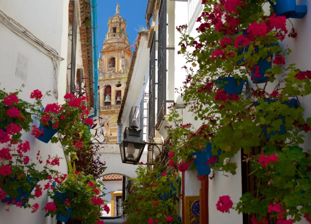 Paseo por la Calleja de las Flores y el Zoco