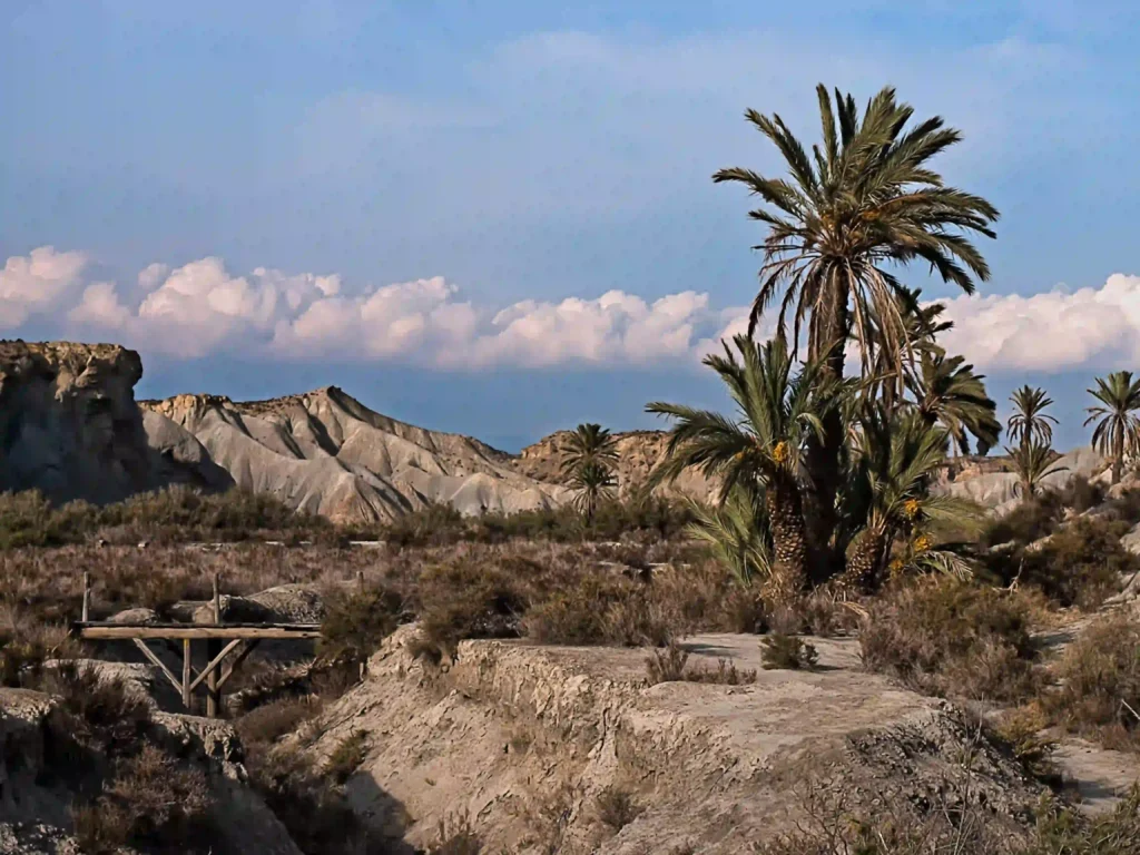 Lawrence de Arabia en Almería
