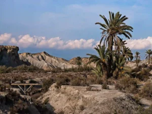 Lawrence de Arabia en Almería