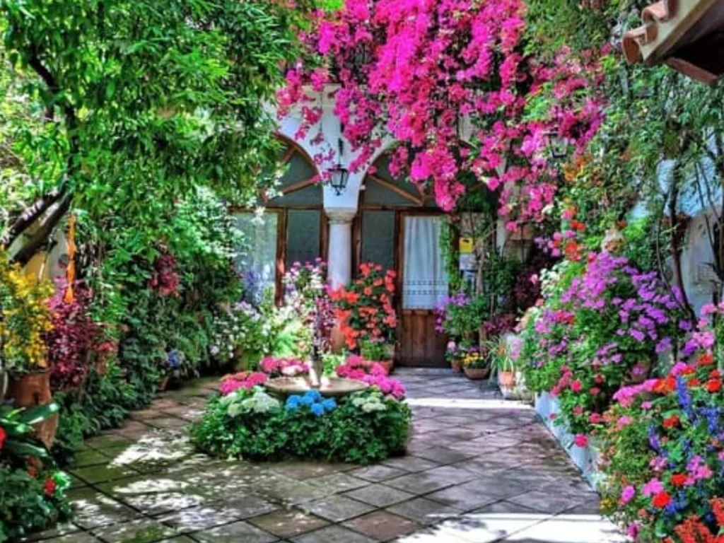 El Clima y los Eventos