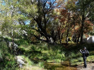 La Ruta del Río Darro