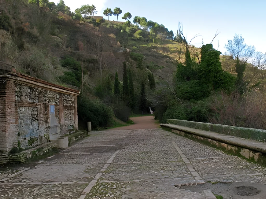 La Fuente del Avellano