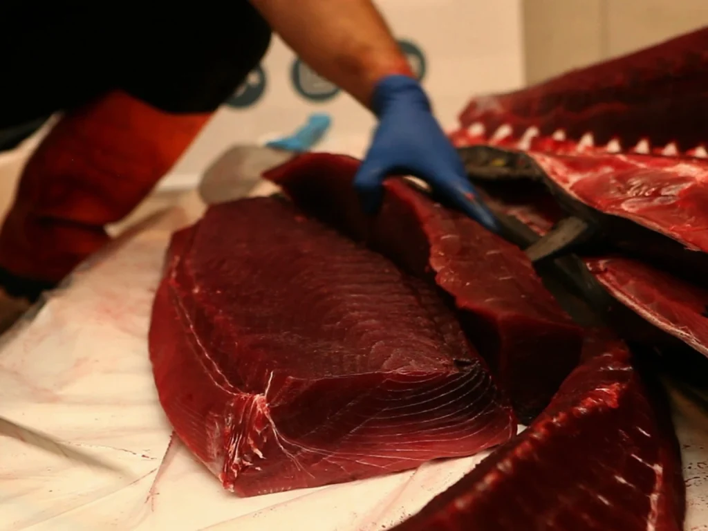 El Ronqueo en Cádiz